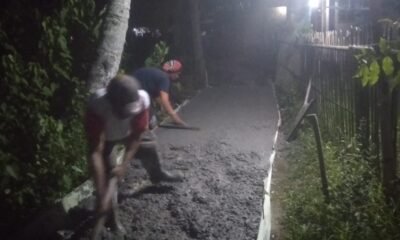 Pemerinatah Desa Purwadadi Perhatikan Jalan Perbatasan